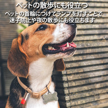 画像をギャラリービューアに読み込む, カラビナ付きマルチLEDライト FNOMADAY FLASH LL137