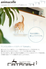 画像をギャラリービューアに読み込む, キャットステップ白キャットロードプラス ～美しく機能的なデザインと厳しい品質基準をクリアした安心設計～
