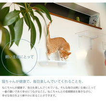 画像をギャラリービューアに読み込む, キャットステップ白キャットロードプラス ～美しく機能的なデザインと厳しい品質基準をクリアした安心設計～
