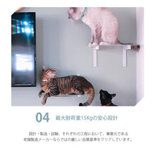 画像をギャラリービューアに読み込む, キャットステップ白キャットロードプラス ～美しく機能的なデザインと厳しい品質基準をクリアした安心設計～
